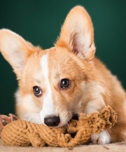 LABONI Heinrich Hase (reine Baumwolle, mit Naturfarben eingefärbt)
