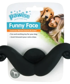 Funny Face, Bart (Hund kann es ins Maul nehmen)