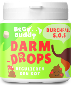 Sale 04/25, Darm Drops (mit Präbiotika, Kieselgur, Flohsamenschalen, bei akuten Resorptionsstörungen des Darms)