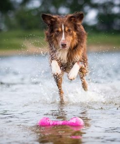 Aqua-Fun Gym (aus Naturkautschuk, schwimmt & robust), pink
